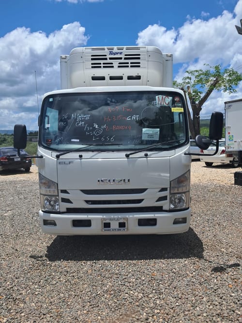 2020 Isuzu Elf Freezer Box Truck for sale $5,500,000 | Rahmel Auto