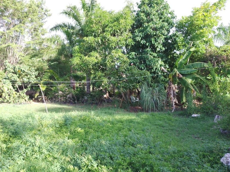 GREENWOOD 4 BED 2 BATH , 1/3 ACRE LOT — photo 15