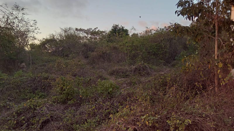 1 ACRE OF DEVELOPMENT LAND WITH BUILDING — photo 5