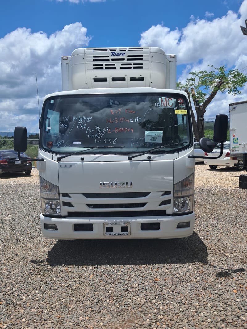 2020 Isuzu Elf Freezer Box Truck for sale $5,500,000 | Rahmel Auto