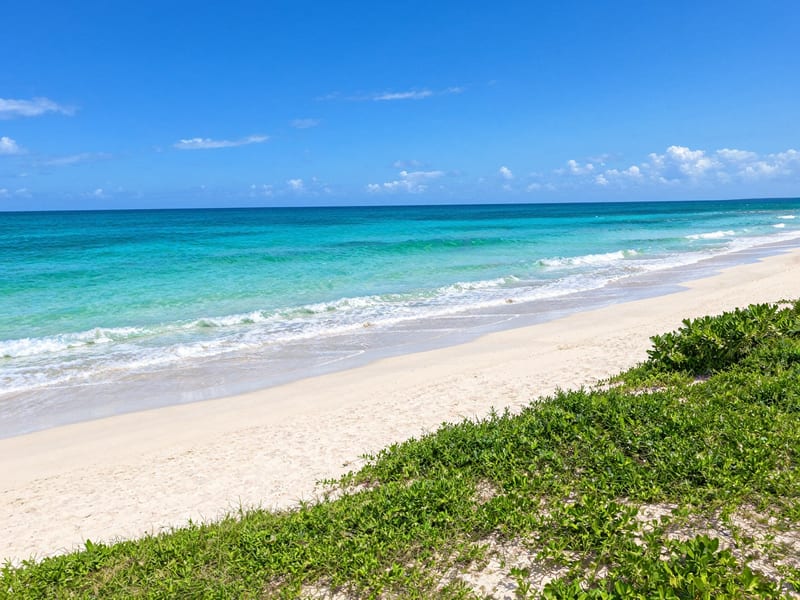 DUNCANS BAY LAND FOR SALE — photo 4