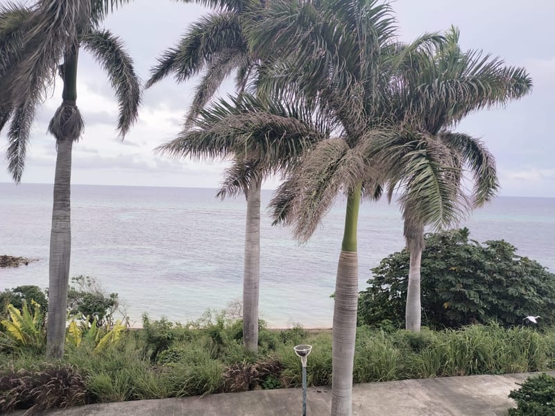 SEA CASTLE 1 BED1 BATH FURNISHED  — photo 14
